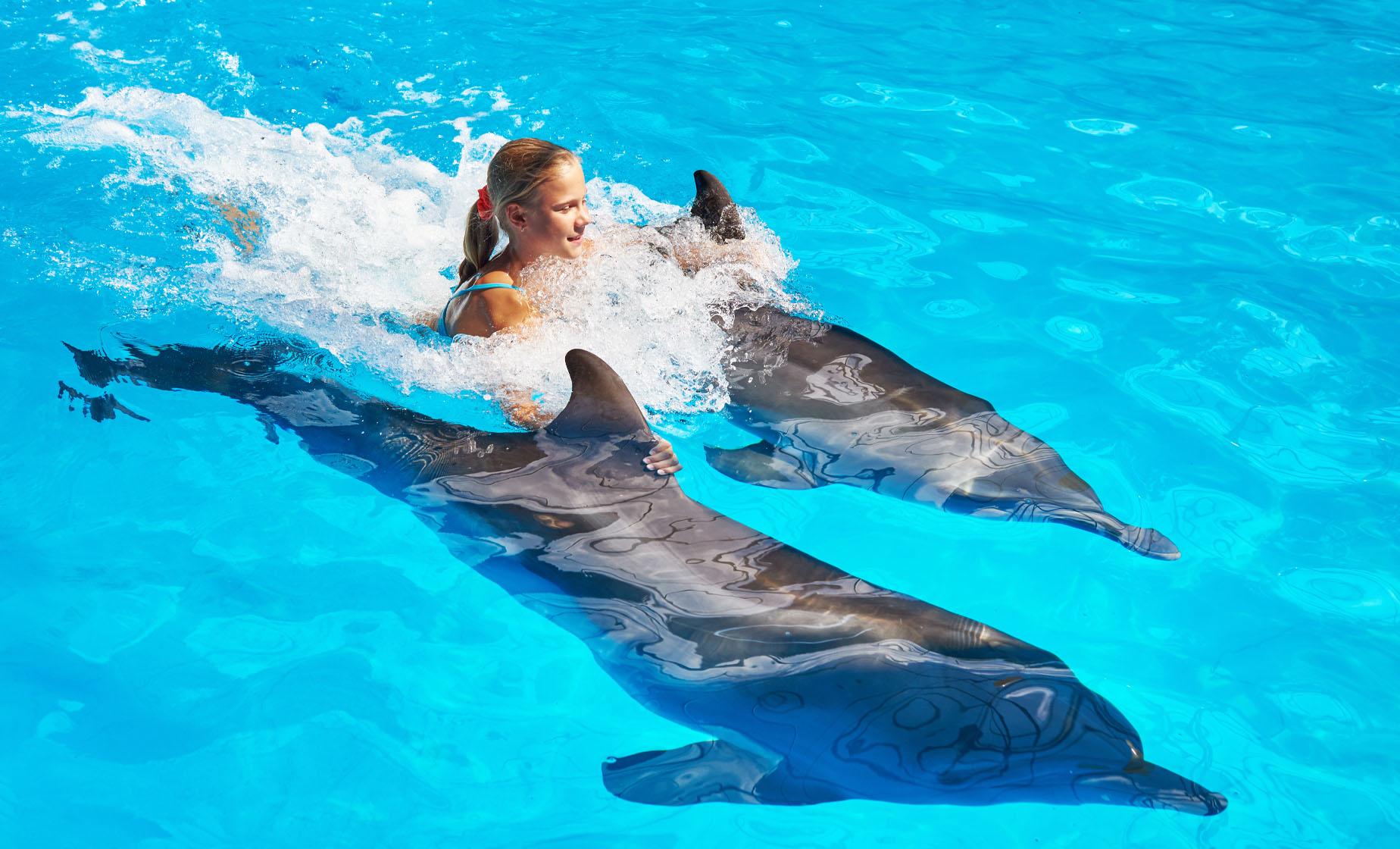Mit Delfin schwimmen 